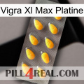 Vigra Xl Max Platinum cialis1